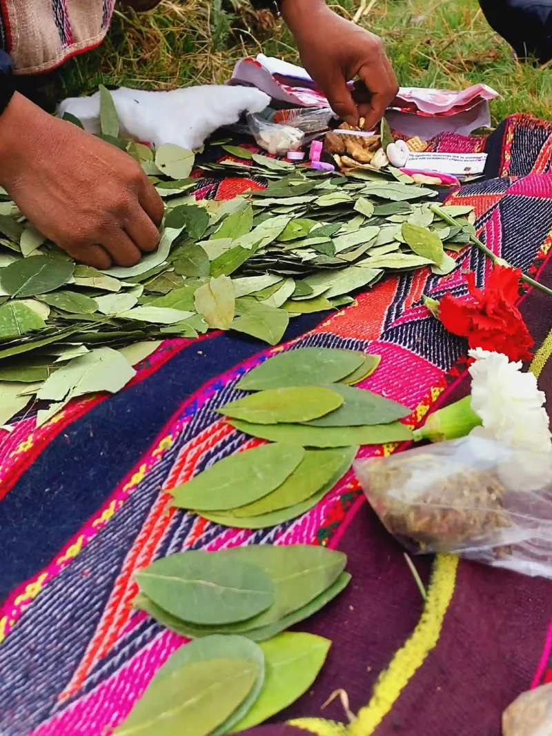 Experiencias culturales